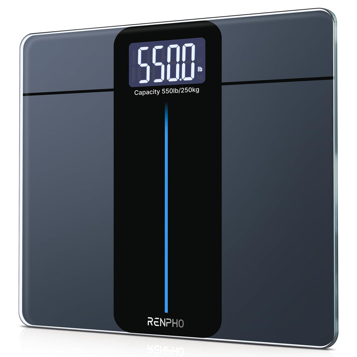 550lb Scale for Body Weight